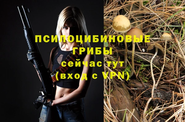 apvp Козловка