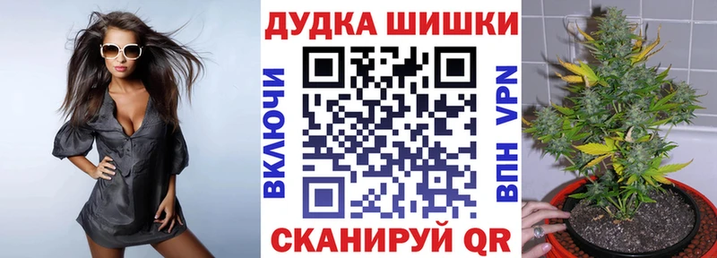 Бошки Шишки гибрид  Купить закладки  Котлас 
